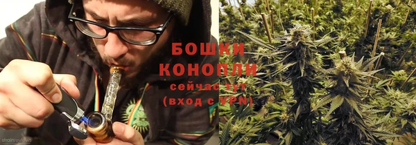 ГАЛЛЮЦИНОГЕННЫЕ ГРИБЫ Арсеньев